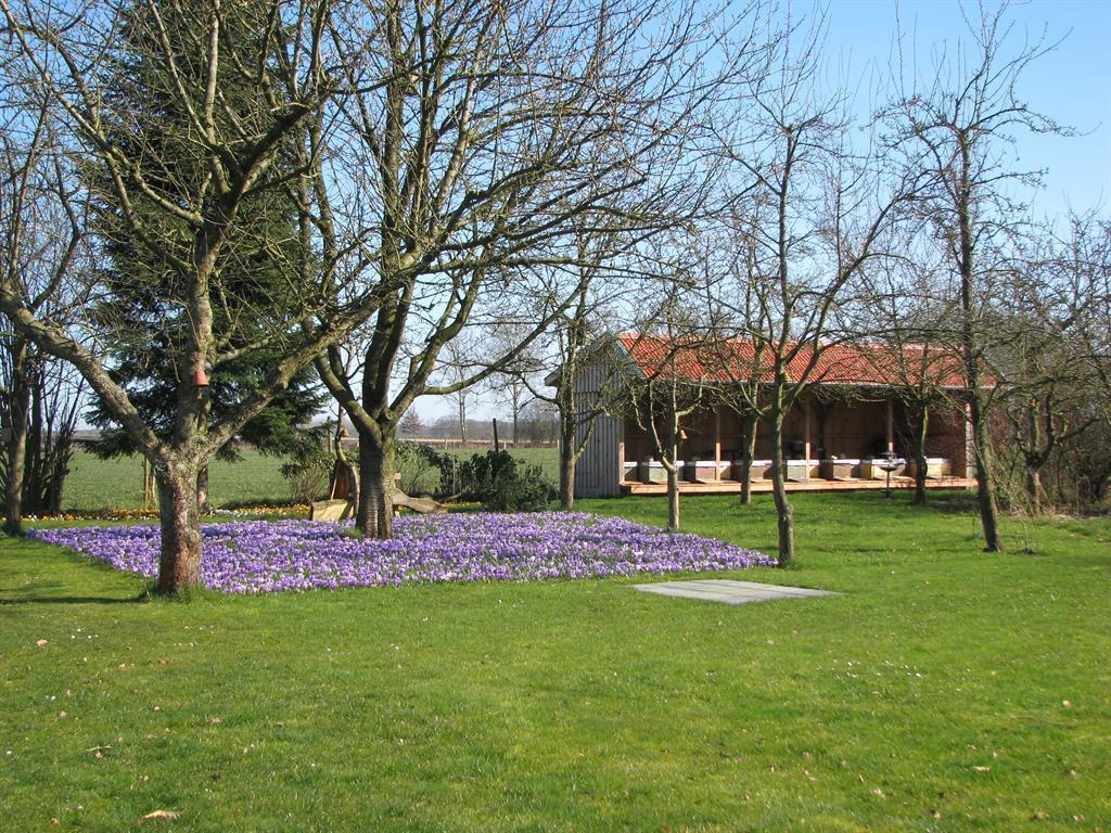 Urlaubsdomizil Im Gruenen Apartment Westerstede Exterior photo